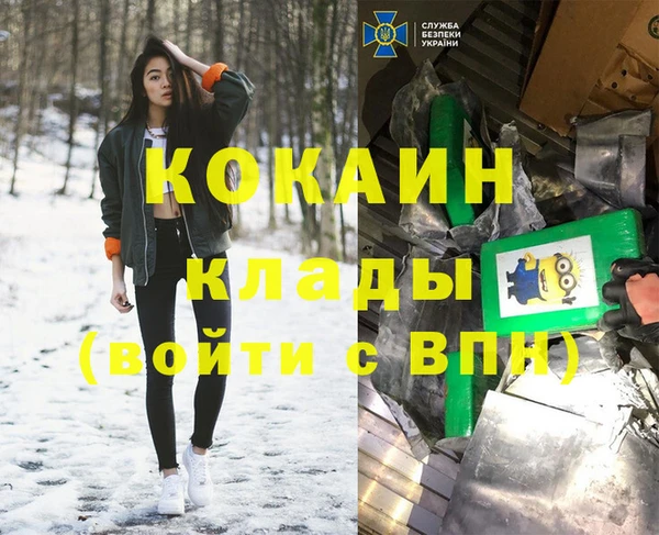 шишки Володарск