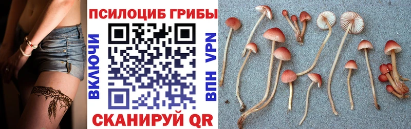 Галлюциногенные грибы Magic Shrooms  Канаш 